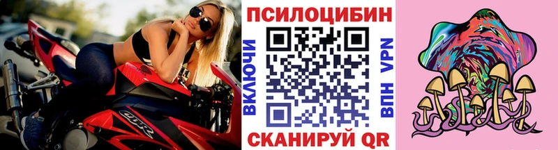 Псилоцибиновые грибы Psilocybine cubensis  купить  цена  Арамиль 
